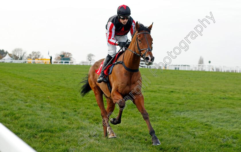 Deafening-Silence-0005 
 DEAFENING SILENCE (Harry Skelton) winner of The Betfair Beacons Winter Novices Hurdle
Sandown 8 Dec 2023 - pic Steven Cargill / Racingfotos.com