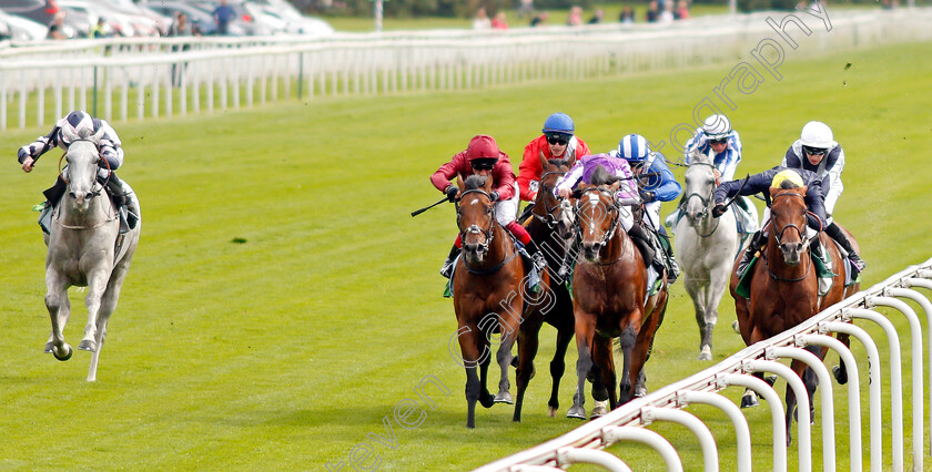 Japan-0003 
 JAPAN (2nd right, Ryan Moore) beats CRYSTAL OCEAN (right) and KING OF COMEDY (3rd right) in The Juddmonte International Stakes
York 21 Aug 2019 - Pic Steven Cargill / Racingfotos.com