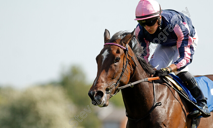 Spirit-Of-Bermuda-0012 
 SPIRIT OF BERMUDA (Tom Marquand) wins The Follow Us On Twitter @leicesterraces Fillies Handicap
Leicester 1 Jun 2021 - Pic Steven Cargill / Racingfotos.com