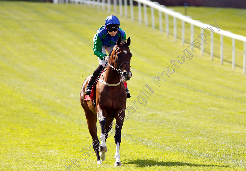 Dancing-Jo-0001 
 DANCING JO (Callum Shepherd)
Sandown 31 Aug 2018 - Pic Steven Cargill / Racingfotos.com