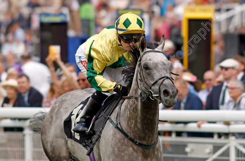 Lord-Riddiford-0004 
 LORD RIDDIFORD (Hollie Doyle) wins The Back To Goodwood Handicap
Goodwood 27 Jul 2021 - Pic Steven Cargill / Racingfotos.com