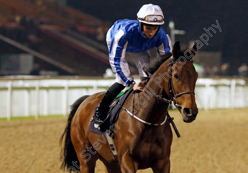 Mehmas-Shy-Angel-0001 
 MEHMAS SHY ANGEL (Rossa Ryan)
Wolverhampton 20 Dec 2024 - Pic Steven Cargill / Racingfotos.com