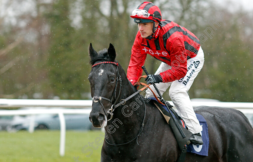 Giuseppe-Cassioli-0001 
 GIUSEPPE CASSIOLI (Richard Kingscote)
Lingfield 15 Feb 2020 - Pic Steven Cargill / Racingfotos.com