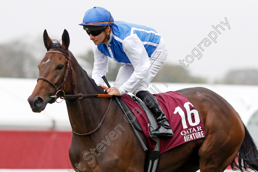 Aventure-0001 
 AVENTURE (Stephane Pasquier)
Longchamp 6 Oct 2024 - Pic Steven Cargill / Racingfotos.com