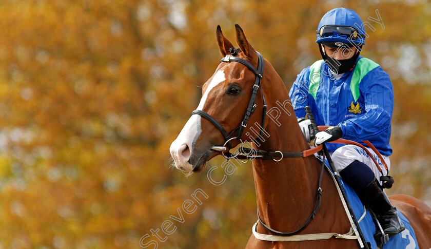 Dancing-King-0003 
 DANCING KING (Silvestre de Sousa) winner of The Bet At Racing TV Handicap
Leicester 24 Apr 2021 - Pic Steven Cargill / Racingfotos.com