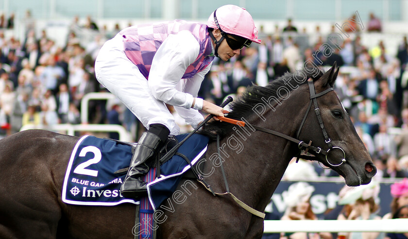 Blue-Gardenia-0002 
 BLUE GARDENIA (Jamie Spencer)
Epsom 31 May 2019 - Pic Steven Cargill / Racingfotos.com