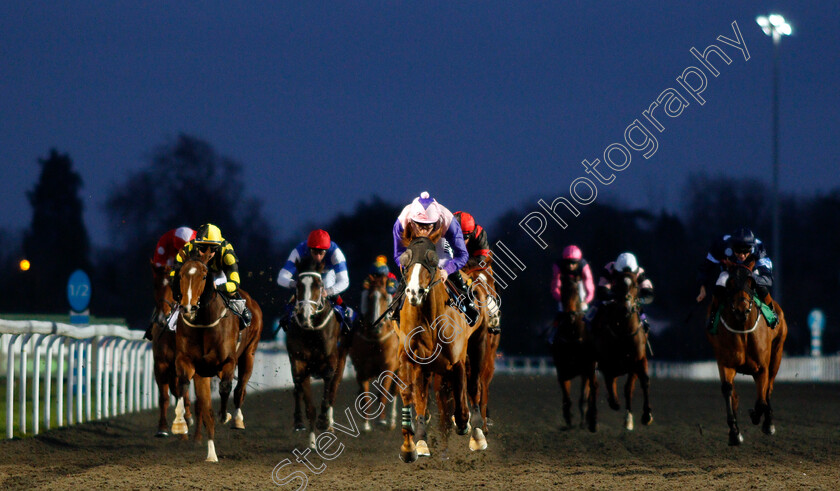 Ubla-0003 
 UBLA (pink, Luke Morris) wins The Bet At racingtv.com Handicap
Kempton 17 Feb 2020 - Pic Steven Cargill / Racingfotos.com