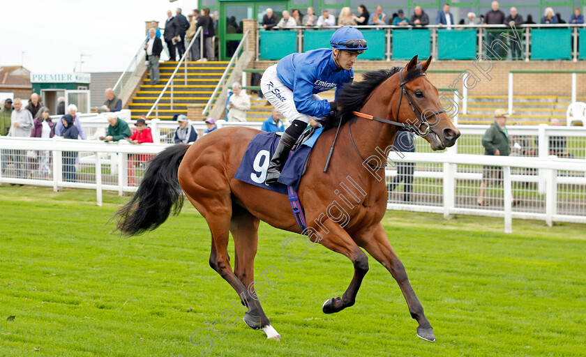 Warsong-0002 
 WARSONG (Kevin Stott)
Yarmouth 19 Sep 2023 - Pic Steven Cargill / Racingfotos.com