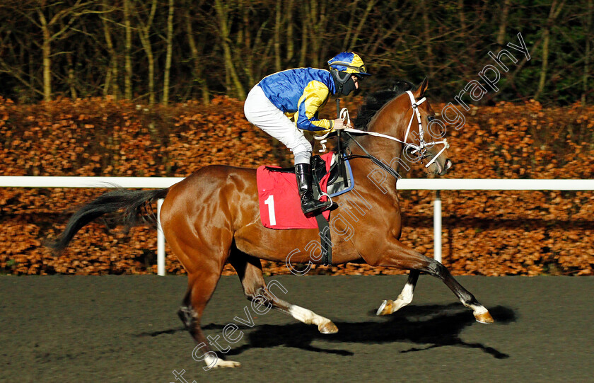 Albadri-0002 
 ALBADRI (Richard Kingscote)
Kempton 3 Mar 2021 - Pic Steven Cargill / Racingfotos.com