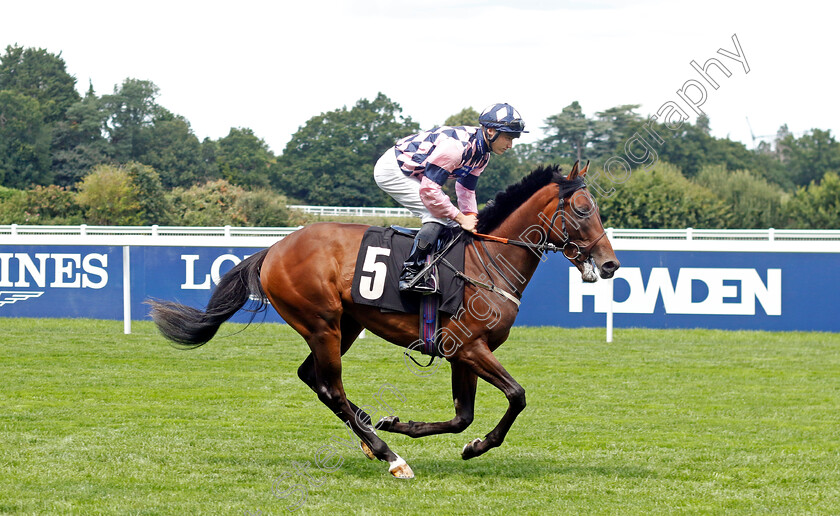 Letsbeatsepsis-0001 
 LETSBEATSEPSIS (Rhys Clutterbuck)
Ascot 27 Jul 2024 - Pic Steven Cargill / Racingfotos.com