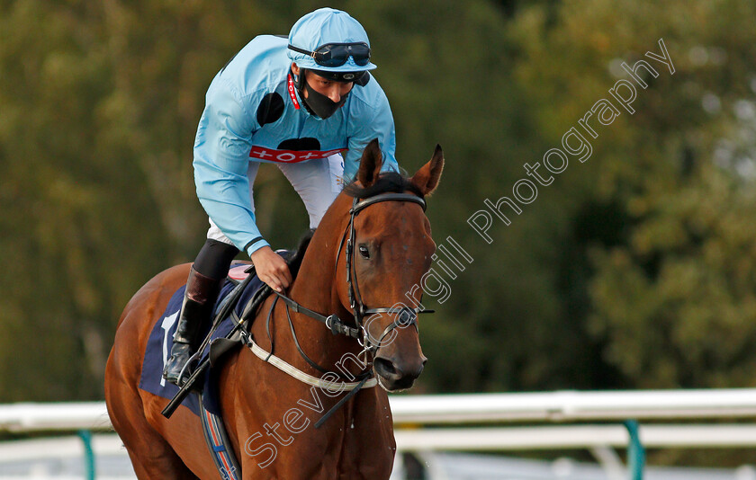 Sachamak-0001 
 SACHAMAK (William Carver)
Lingfield 5 Aug 2020 - Pic Steven Cargill / Racingfotos.com