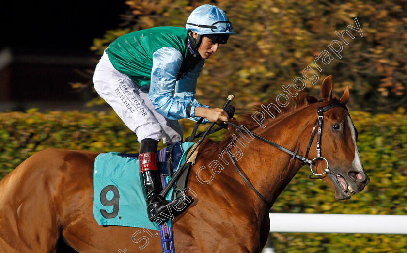 Replenish-0001 
 REPLENISH (George Wood) Kempton 4 Oct 2017 - Pic Steven Cargill / Racingfotos.com