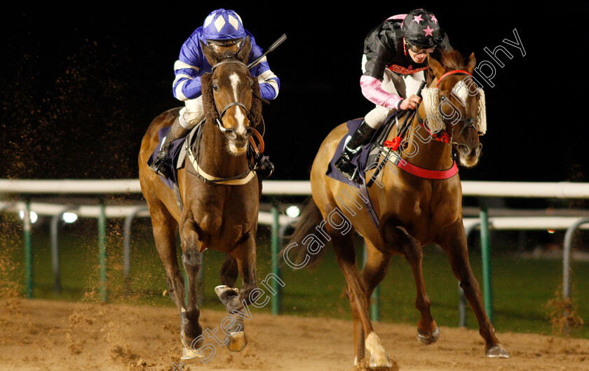 Tyrsal-0002 
 TYRSAL (left, Gavin Ashton) beats SOCIOLOGIST (right) in The Heed Your Hunch At Betway Handicap
Southwell 15 Jan 2020 - Pic Steven Cargill / Racingfotos.com