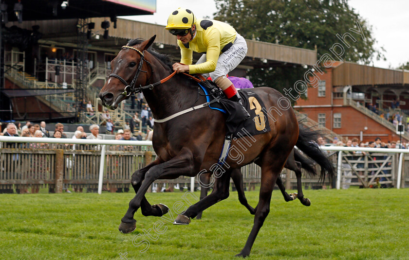 Cairn-Island-0003 
 CAIRN ISLAND (Andrea Atzeni) wins The Mansionbet At Newmarket Handicap
Newmarket 27 Aug 2021 - Pic Steven Cargill / Racingfotos.com