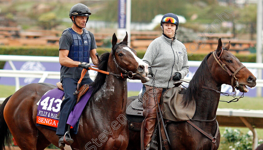 Senga-0001 
 SENGA training for The Breeders' Cup Filly & Mare Turf at Del Mar USA 31 Oct 2017 - Pic Steven Cargill / Racingfotos.com