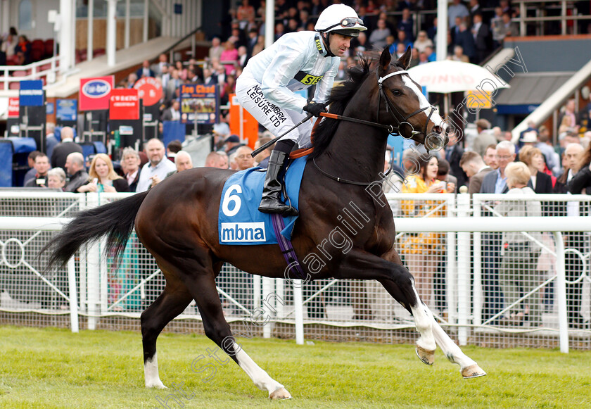 Jetstream-0001 
 JETSTREAM (Robert Winston) 
Chester 9 May 2018 - Pic Steven Cargill / Racingfotos.com