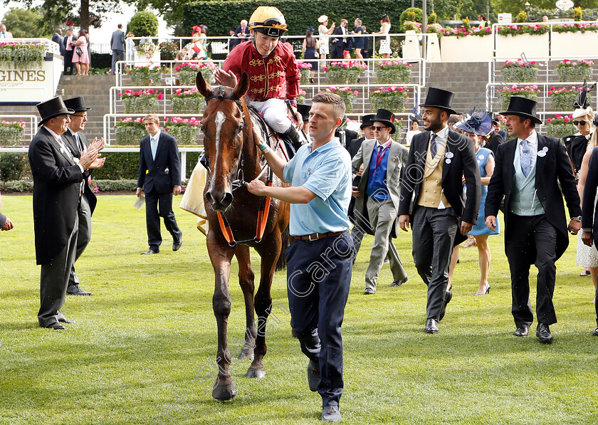 Pallasator-0007 
 PALLASATOR (Jamie Spencer) after The Queen Alexandra Stakes
Royal Ascot 23 Jun 2018 - Pic Steven Cargill / Racingfotos.com