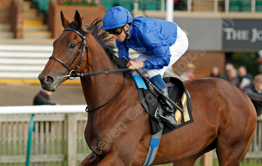 Noble-Order 
 NOBLE ORDER (William Buick)
Newmarket 20 Oct 2021 - Pic Steven Cargill / Racingfotos.com