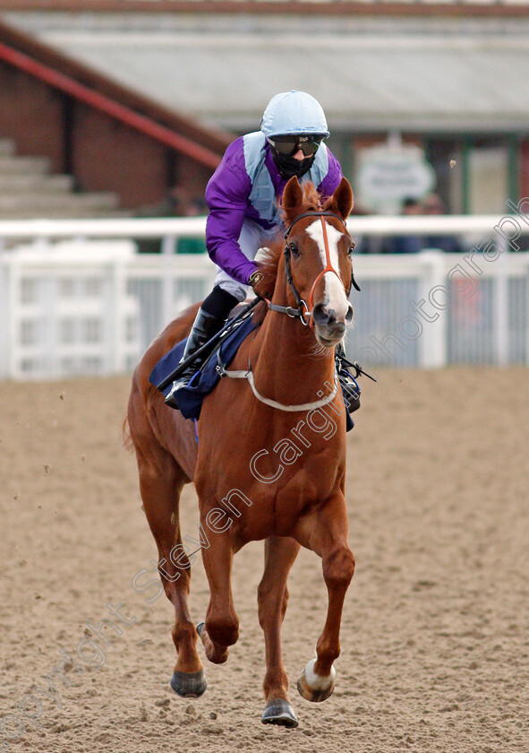 Five-Rings-0001 
 FIVE RINGS (Ben Curtis)
Wolverhampton 12 Mar 2021 - Pic Steven Cargill / Racingfotos.com