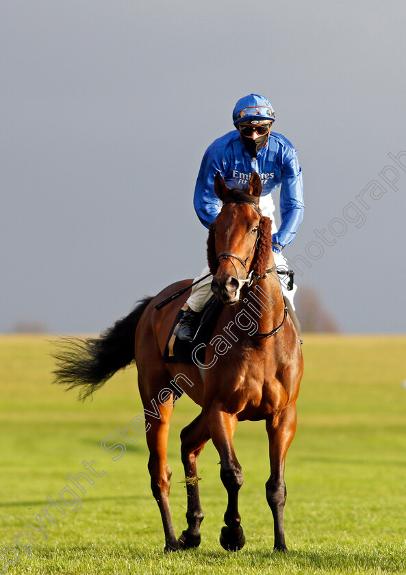 King s-Command-0001 
 KING'S COMMAND (James Doyle)
Newmarket 31 Oct 2020 - Pic Steven Cargill / Racingfotos.com