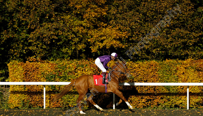 Courageous-Strike-0001 
 COURAGEOUS STRIKE (Rob Hornby)
Kempton 15 Nov 2023 - Pic Steven Cargill / Racingfotos.com