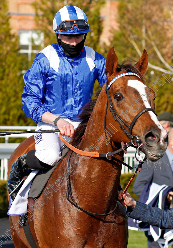 Khuzaam-0006 
 KHUZAAM (Jack Mitchell) after The Bombardier All-Weather Mile Championships Conditions Stakes
Lingfield 2 Apr 2021 - Pic Steven Cargill / Racingfotos.com