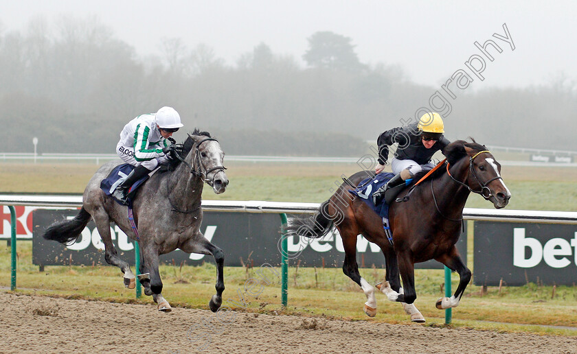 Three-Weeks-0003 
 THREE WEEKS (left, Martin Harley) beats BRIGHAM YOUNG (right) in The 32Red.com EBF Novice Stakes Div1 Lingfield 20 Dec 2017 - Pic Steven Cargill / Racingfotos.com