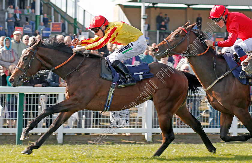 Tiger-Crusade-0007 
 TIGER CRUSADE (Jamie Spencer) wins The British Stallion Studs EBF Novice Stakes
Yarmouth 17 Sep 2019 - Pic Steven Cargill / Racingfotos.com