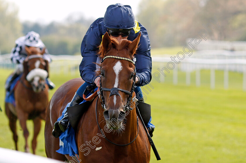 Al-Mubhir-0001 
 AL MUBHIR (William Buick) wins The Madri Excepcional King Richard III Cup Handicap
Leicester 29 Apr 2023 - Pic Steven Cargill / Racingfotos.com