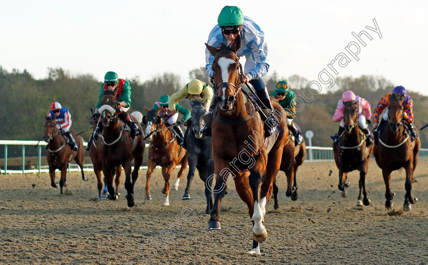 Wonder-Starelzaam-0002 
 WONDER STARELZAAM (George Bass) wins The Mansionbet Proud Partners Of The AWC Apprentice Handicap
Lingfield 28 Oct 2021 - Pic Steven Cargill / Racingfotos.com