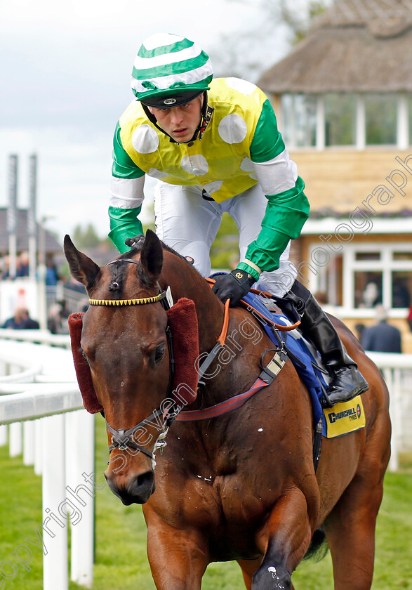 Pendleton 
 PENDLETON (Clifford Lee)
York 11 May 2022 - Pic Steven Cargill / Racingfotos.com