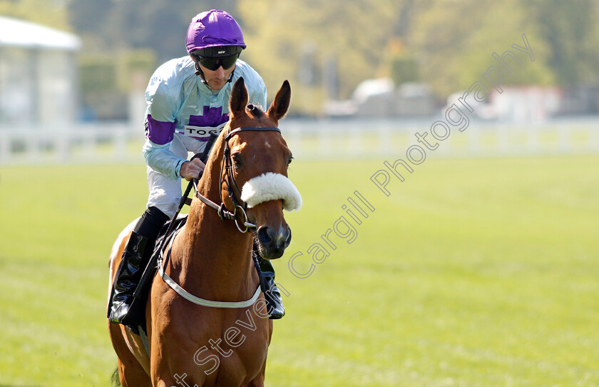 Rousing-Encore-0002 
 ROUSING ENCORE (Daniel Tudhope)
Ascot 3 May 2023 - Pic Steven Cargill / Racingfotos.com