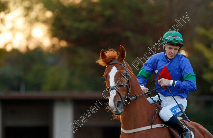 Rockit-Tommy-0006 
 ROCKIT TOMMY (David Probert) winner of The Highclere Castle Feeds Handicap
Kempton 2 Oct 2024 - Pic Steven Cargill / Racingfotos.com