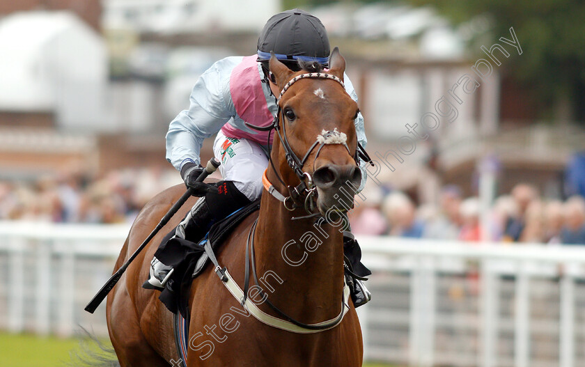 La-Maquina-0003 
 LA MAQUINA (Nicola Currie) wins The Thames Materials Recycled Primary Aggregates Handicap
Goodwood 24 May 2019 - Pic Steven Cargill / Racingfotos.com