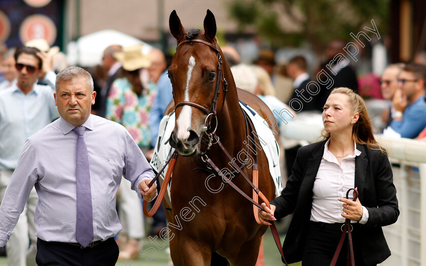 Lady-Of-Andros-0003 
 LADY OF ANDROS
Deauville 3 Aug 2024 - Pic Steven Cargill / Racingfotos.com