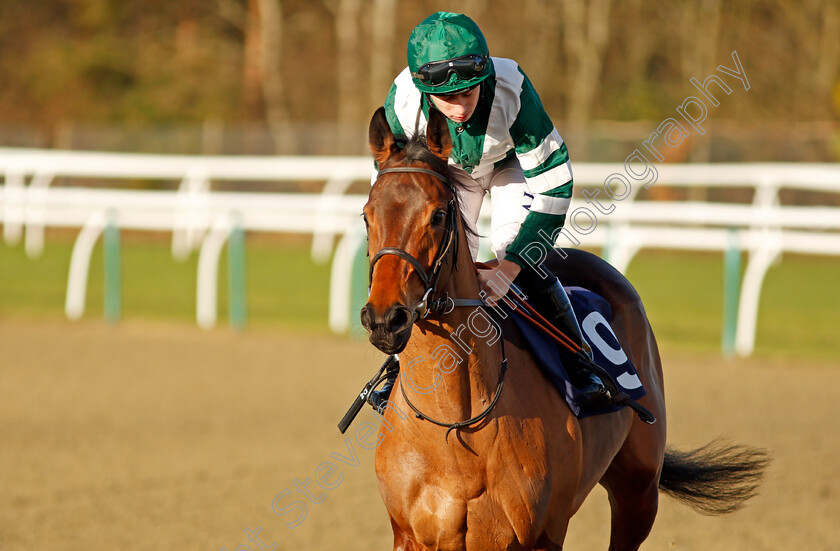 Power-And-Peace-0001 
 POWER AND PEACE (Oisin Murphy) Lingfield 10 Jan 2018 - Pic Steven Cargill / Racingfotos.com