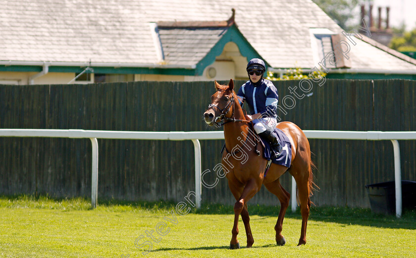 Cotai-Hero-0001 
 COTAI HERO (Tom Marquand)
Yarmouth 9 Jun 2021 - Pic Steven Cargill / Racingfotos.com