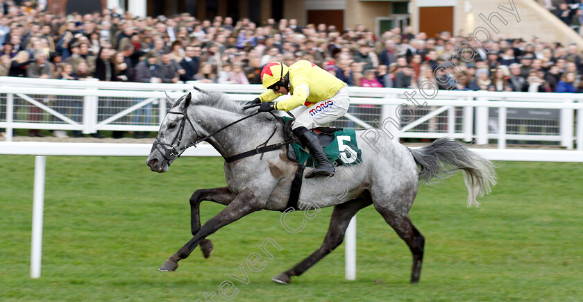 Aux-Ptits-Soins-0002 
 AUX PTITS SOINS (Harry Skelton) wins The Simplify Horse Racing Selections With Betfinder At BetBright Handicap Hurdle
Cheltenham 1 Jan 2019 - Pic Steven Cargill / Racingfotos.com