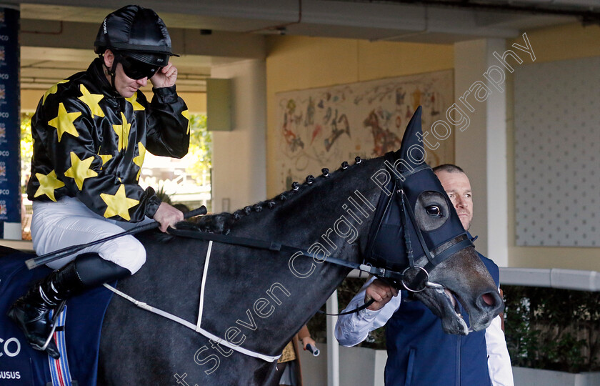 Lord-Massusus-0001 
 LORD MASSUSUS (G Carroll)
Ascot 19 Oct 2024 - Pic Steven Cargill / Racingfotos.com