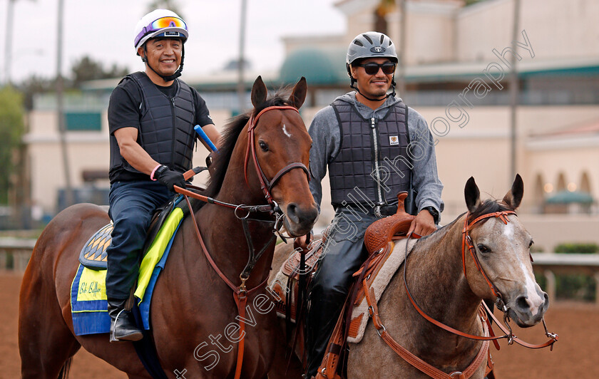 Drefong-0001 
 DREFONG training for The Breeders' Cup Sprint at Del Mar USA, 1 Nov 2017 - Pic Steven Cargill / Racingfotos.com