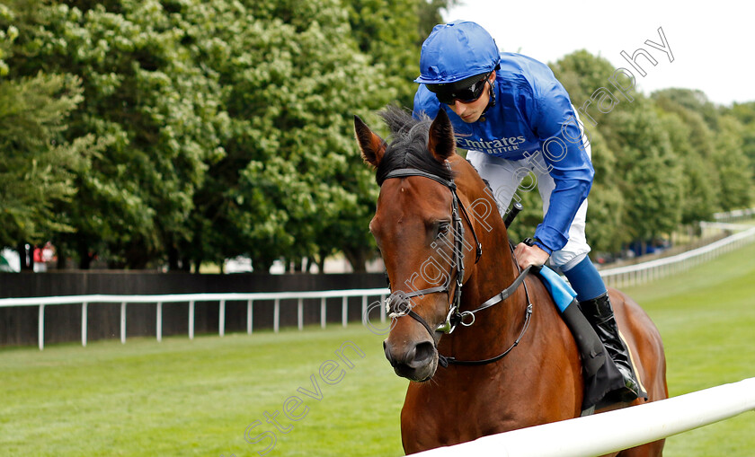 New-London-0001 
 NEW LONDON (William Buick)
Newmarket 1 Jul 2023 - Pic Steven Cargill / Racingfotos.com