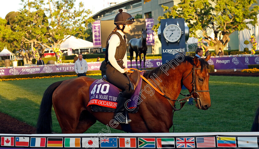 State-Occasion-0003 
 STATE OCCASION training for the Breeders' Cup Filly & Mare Turf
Santa Anita USA, 1 Nov 2023 - Pic Steven Cargill / Racingfotos.com