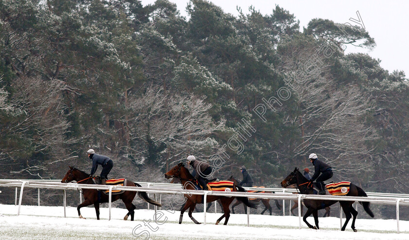 Newmarket-Snow-0015 
 Racehorses training in the snow at Newmarket
1 Feb 2019 - Pic Steven Cargill / Racingfotos.com