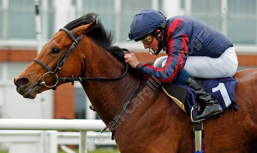 Turn-On-The-Charm-0005 
 TURN ON THE CHARM (William Buick) wins The Download The Novibet App Handicap
Lingfield 8 May 2021 - Pic Steven Cargill / Racingfotos.com