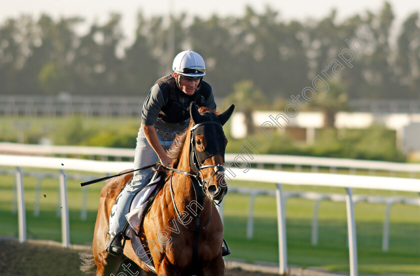 Ladies-Church-0001 
 LADIES CHURCH training at the Dubai World Cup Carnival
Meydan 5 Jan 2023 - Pic Steven Cargill / Racingfotos.com