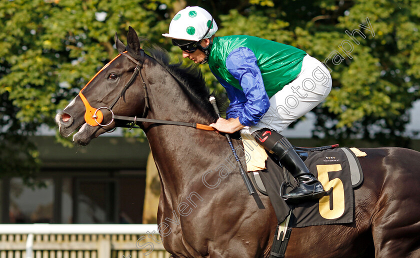 Nuggle 
 NUGGLE (Thomas Greatrex)
Newmarket 22 Jul 2022 - Pic Steven Cargill / Racingfotos.com