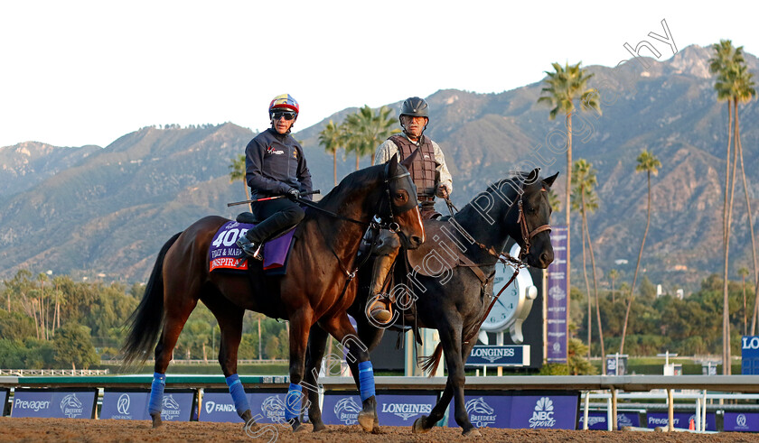 Inspiral-0001 
 INSPIRAL (Frankie Dettori) training for the Breeders' Cup Filly & Mare Turf
Santa Anita USA, 1 Nov 2023 - Pic Steven Cargill / Racingfotos.com