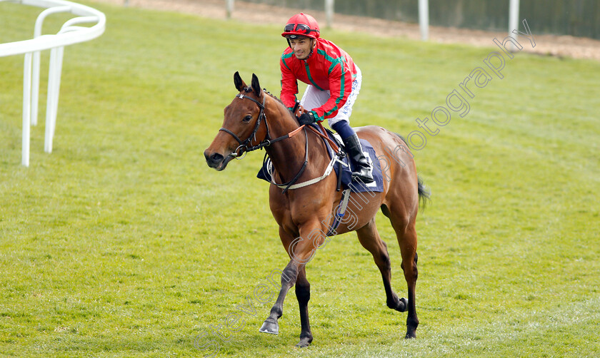 Companion-0002 
 COMPANION (Silvestre De Sousa) winner of The EBF Stallions Maiden Fillies Stakes
Yarmouth 23 Apr 2019 - Pic Steven Cargill / Racingfotos.com