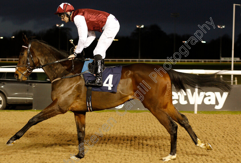 Graffiti-Master-0001 
 GRAFFITI MASTER (Robert Havlin)
Wolverhampton 28 Nov 2018 - Pic Steven Cargill / Racingfotos.com