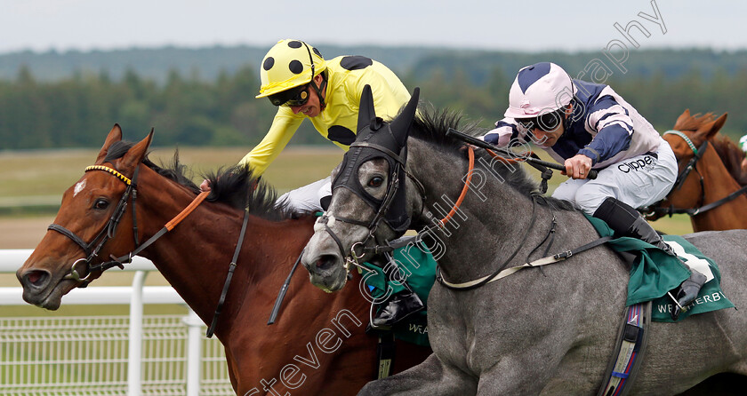 Lava-Stream-0005 
 LAVA STREAM (right, Daniel Tudhope) beats BOLSENA (left) in The Weatherbys British EBF Agnes Keyser Fillies Stakes
Goodwood 9 Jun 2024 - pic Steven Cargill / Racingfotos.com